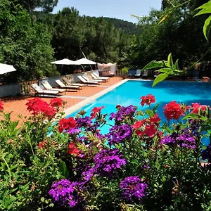 book here